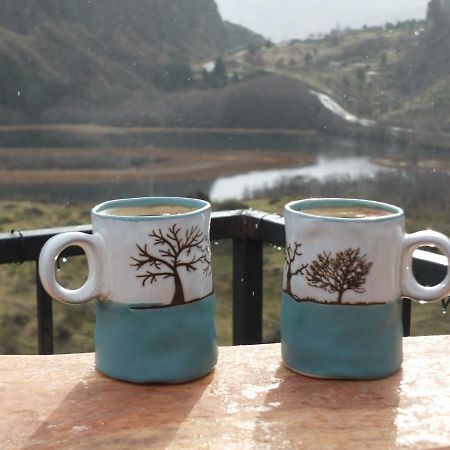 Domo Carpe Diem Patagonia Coyhaique Εξωτερικό φωτογραφία