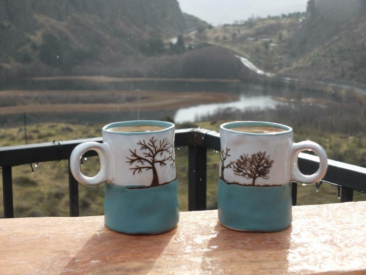 Domo Carpe Diem Patagonia Coyhaique Εξωτερικό φωτογραφία