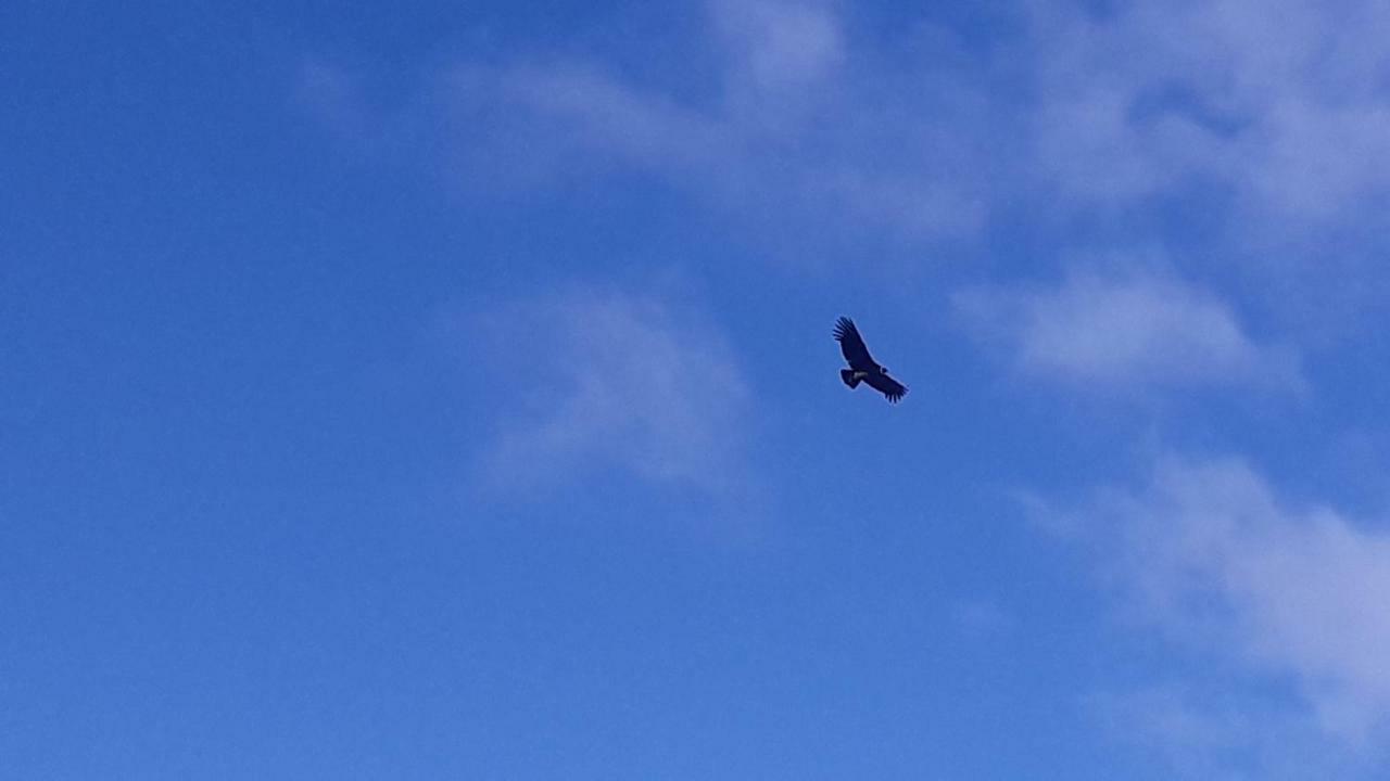 Domo Carpe Diem Patagonia Coyhaique Εξωτερικό φωτογραφία